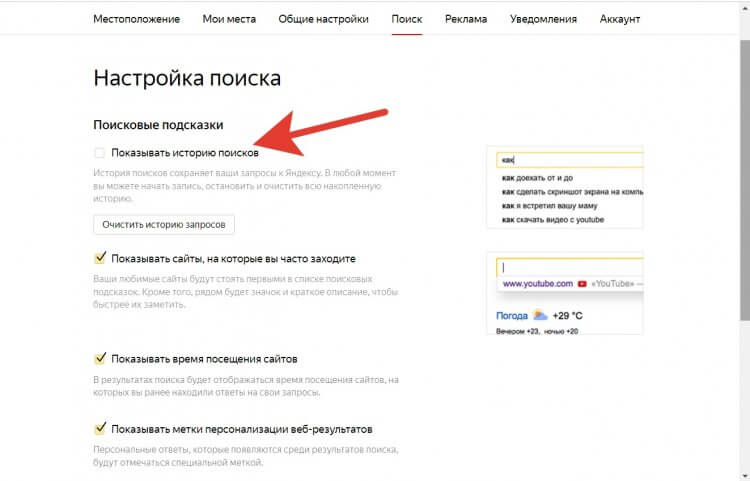 Как скрыть историю в Яндексе. Здесь же в превью с правой стороны можно увидеть, как это будет выглядеть. Фото.